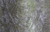 Camastianavaig fibreglass roof work